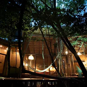 ojo-de-rbol-boutique-cabin-in-the-jungle-relax.allrivieramayahotels.com/